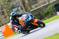 Oulton-Park-20th-March-2020;PJ-Motorsport-Photography-2020;anglesey;brands-hatch;cadwell-park;croft;donington-park;enduro-digital-images;event-digital-images;eventdigitalimages;mallory;no-limits;oulton-park;peter-wileman-photography;racing-digital-images;silverstone;snetterton;trackday-digital-images;trackday-photos;vmcc-banbury-run;welsh-2-day-enduro